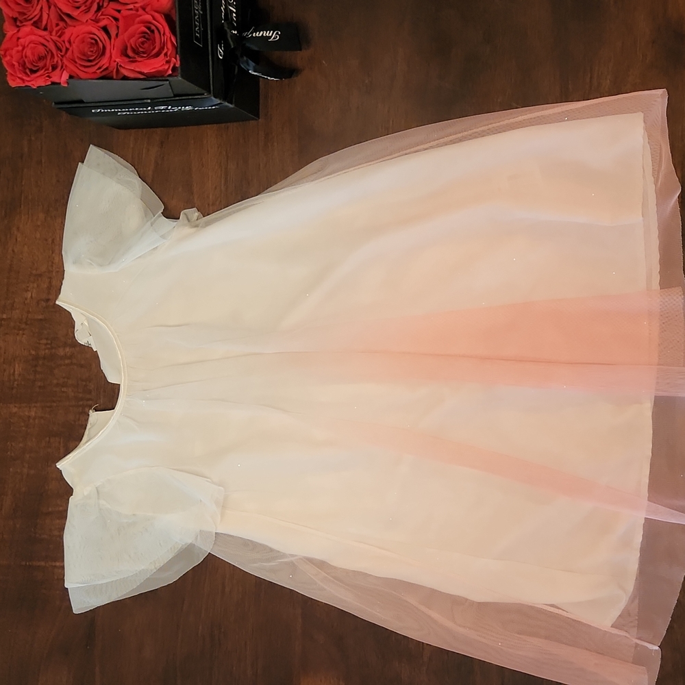 H&M dress